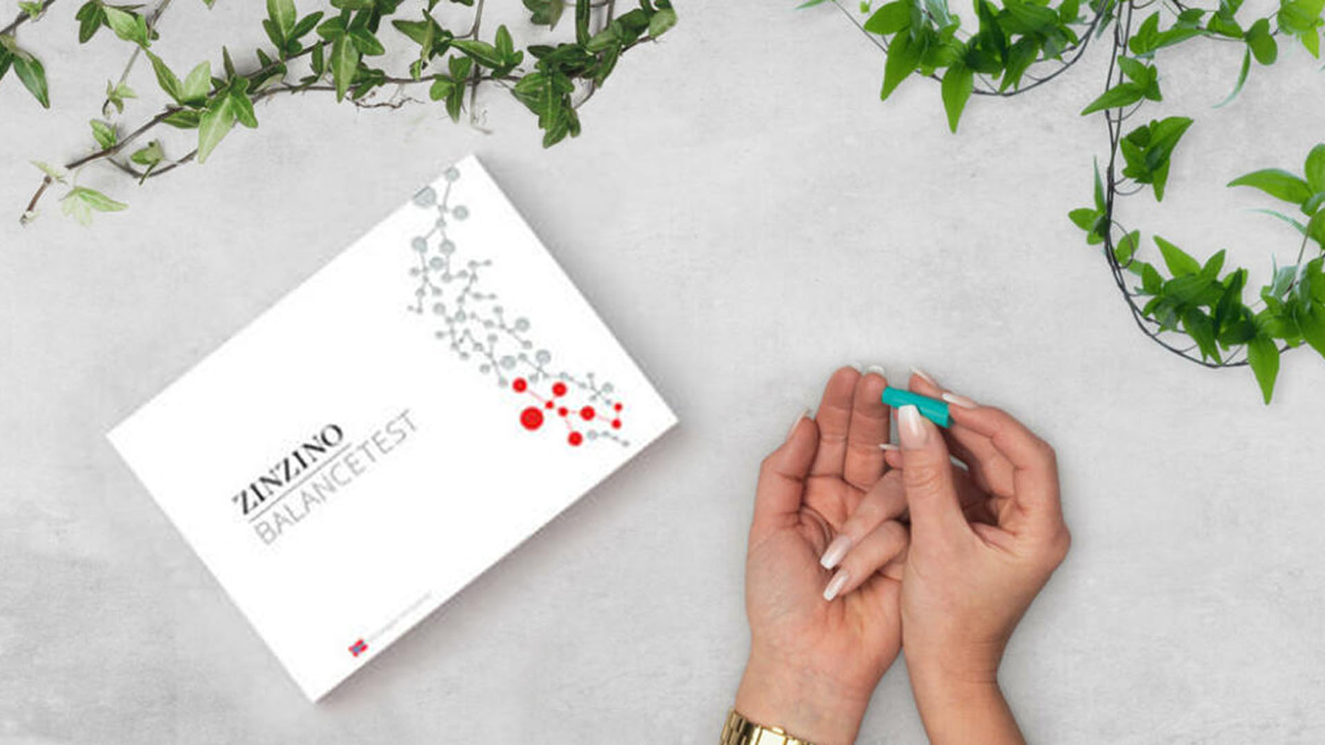 Zinzino Balance Test